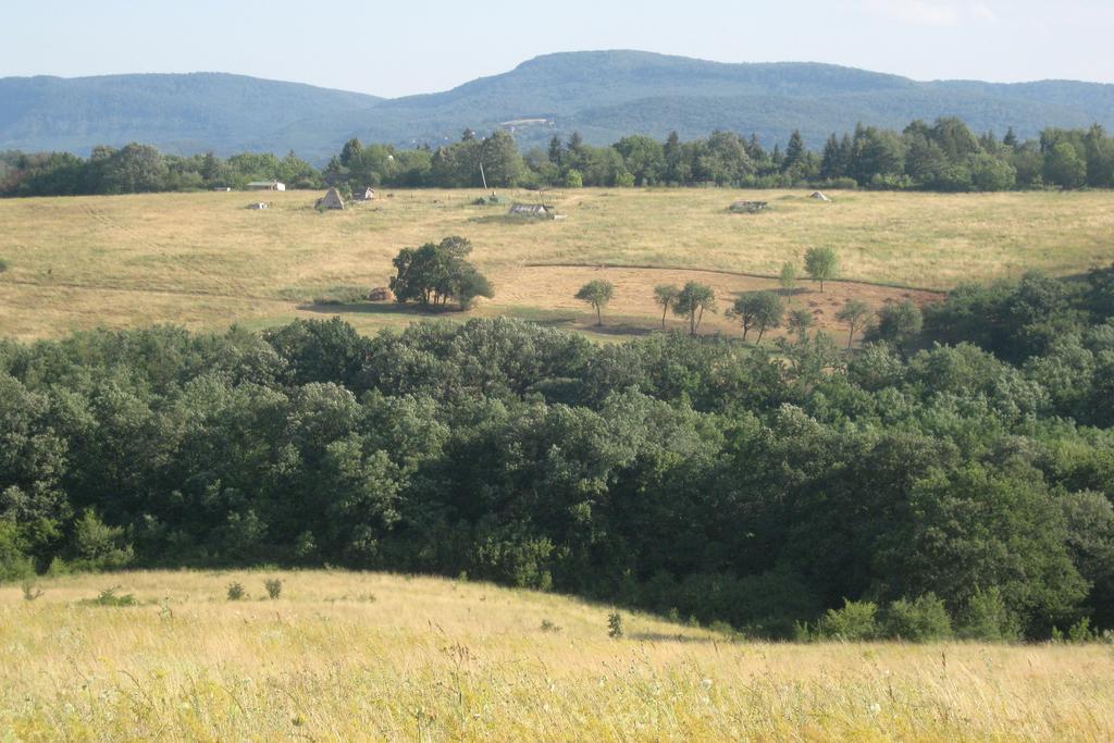 Harangvirág 36 Faház Villa Veroce Bagian luar foto